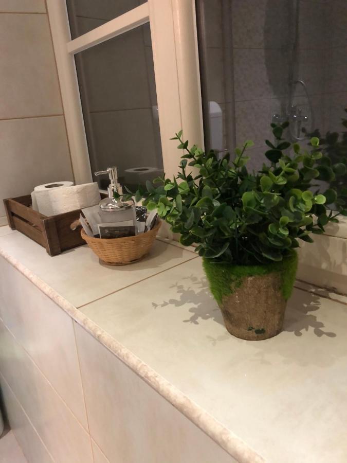 Cozy Central Apartment ブラショフ エクステリア 写真