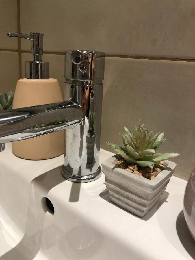 Cozy Central Apartment ブラショフ エクステリア 写真